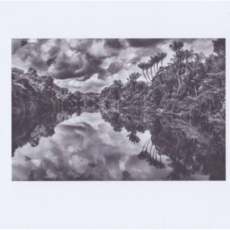 Jean Michel Jarre - Amazonia (0194398450513) виниловая пластинка - фото 9