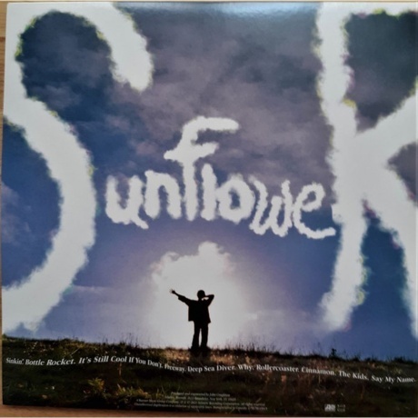 Briston Maroney - Sunflower (0075678645815) виниловая пластинка - фото 2