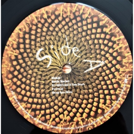 Briston Maroney - Sunflower (0075678645815) виниловая пластинка - фото 3