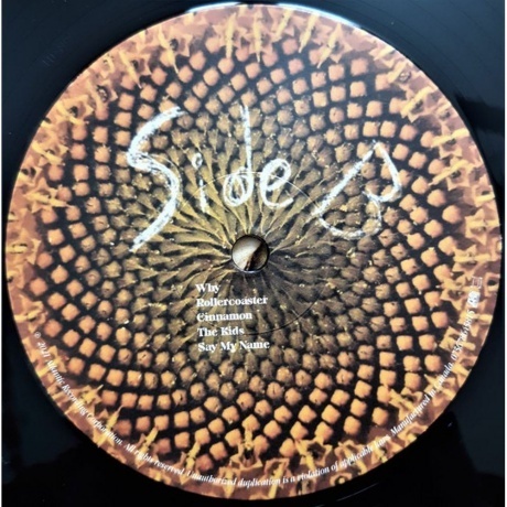 Briston Maroney - Sunflower (0075678645815) виниловая пластинка - фото 4