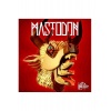 Виниловая пластинка Mastodon, The Hunter (0093624929352)