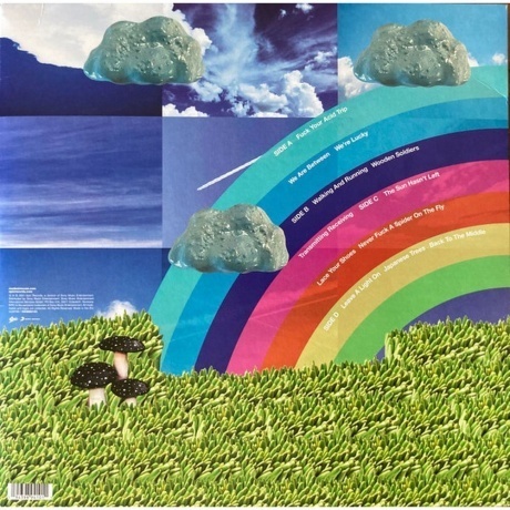 Modest Mouse - The Golden Casket (0194398941011) виниловая пластинка - фото 3