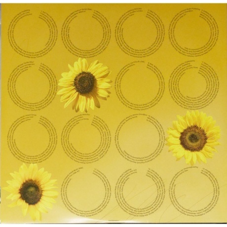 Nao - And Then Life Was Beautiful (0194399005019) виниловая пластинка - фото 4