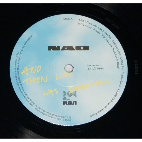Nao - And Then Life Was Beautiful (0194399005019) виниловая пластинка - фото 5