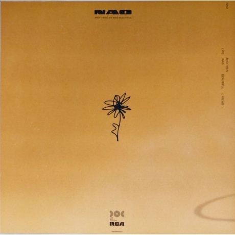 Nao - And Then Life Was Beautiful (0194399005019) виниловая пластинка - фото 8