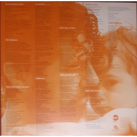 Declan O'Rourke - Arrivals (0190295139636) виниловая пластинка - фото 3