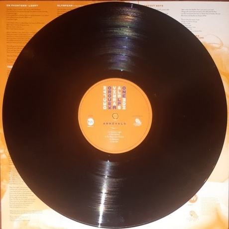 Declan O'Rourke - Arrivals (0190295139636) виниловая пластинка - фото 5