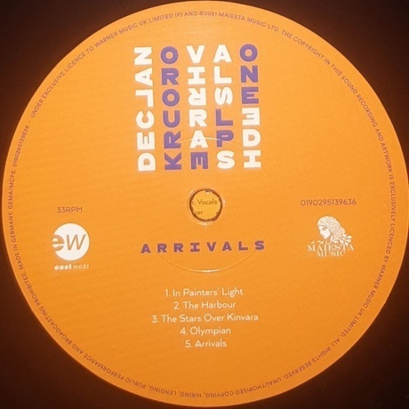 Declan O'Rourke - Arrivals (0190295139636) виниловая пластинка - фото 6