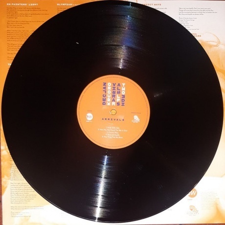 Declan O'Rourke - Arrivals (0190295139636) виниловая пластинка - фото 7