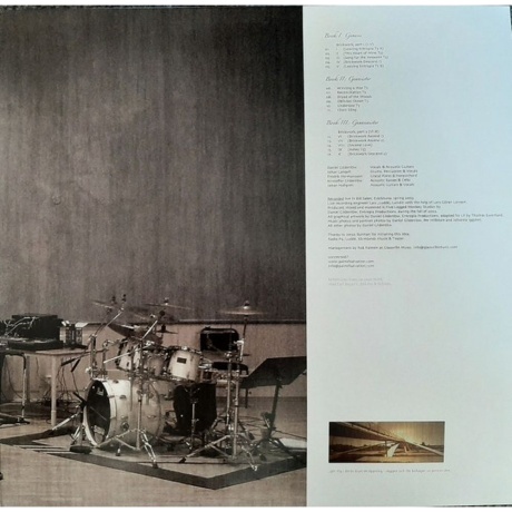 Pain Of Salvation - 0,503472222222222 (0194398558219) виниловая пластинка - фото 4