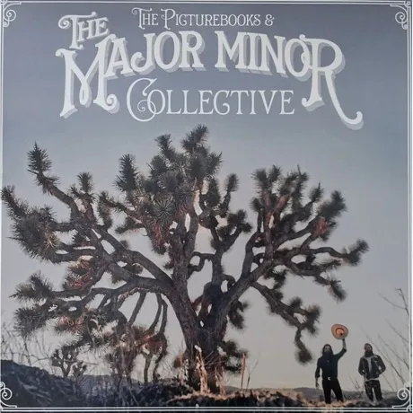 The Picturebooks - The Major Minor Collective (0194398731315) ви...