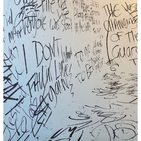 Rag'n'Bone Man - Life By Misadventure (0194398549712) виниловая пластинка - фото 2