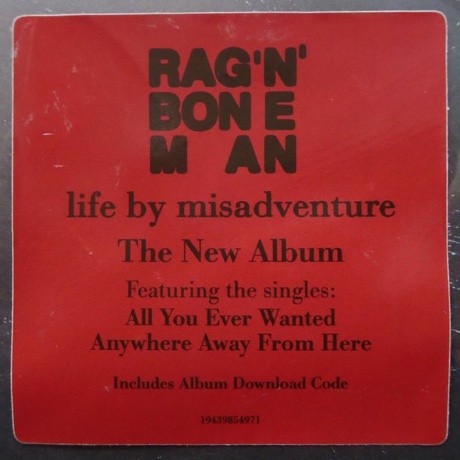 Rag'n'Bone Man - Life By Misadventure (0194398549712) виниловая пластинка - фото 26