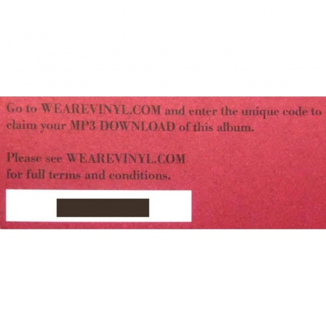 Rag'n'Bone Man - Life By Misadventure (0194398549712) виниловая пластинка - фото 27