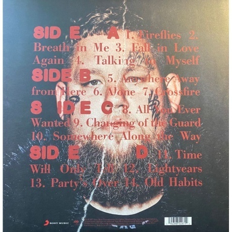 Rag'n'Bone Man - Life By Misadventure (0194398549712) виниловая пластинка - фото 4