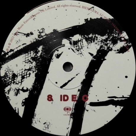 Rag'n'Bone Man - Life By Misadventure (0194398549712) виниловая пластинка - фото 7