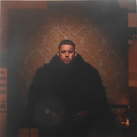 Rag'n'Bone Man - Life By Misadventure (0194398549712) виниловая пластинка - фото 9