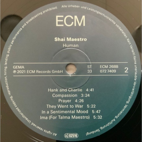 Shai Maestro - Human (0602507274092) виниловая пластинка - фото 4