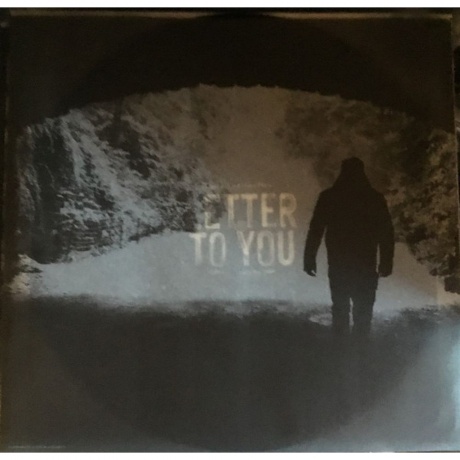 Bruce Springsteen - Letter To You (0194398038018) виниловая пластинка - фото 12