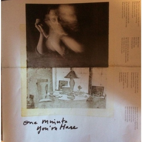 Bruce Springsteen - Letter To You (0194398038018) виниловая пластинка - фото 18