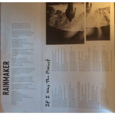 Bruce Springsteen - Letter To You (0194398038018) виниловая пластинка - фото 24