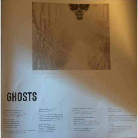 Bruce Springsteen - Letter To You (0194398038018) виниловая пластинка - фото 26