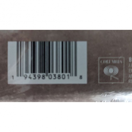 Bruce Springsteen - Letter To You (0194398038018) виниловая пластинка - фото 7