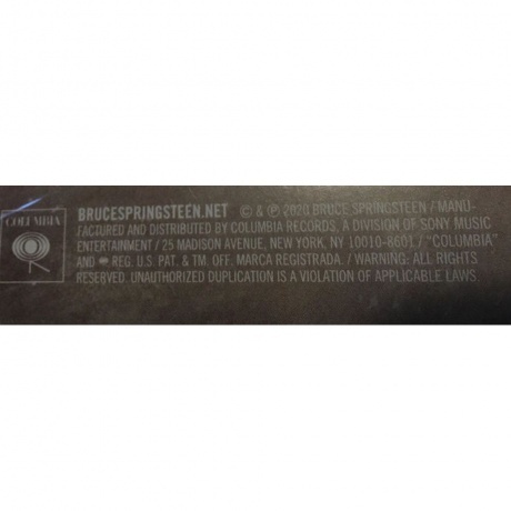 Bruce Springsteen - Letter To You (0194398038018) виниловая пластинка - фото 8