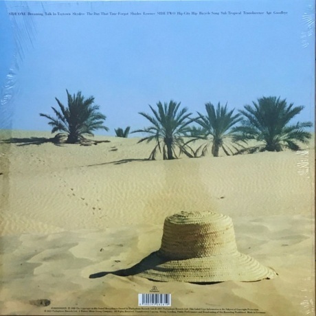 Poly Styrene - Translucence (0190295082819) виниловая пластинка - фото 2