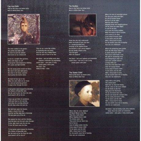 Nad Sylvan - Spiritus Mundi (0194398583013) виниловая пластинка - фото 5