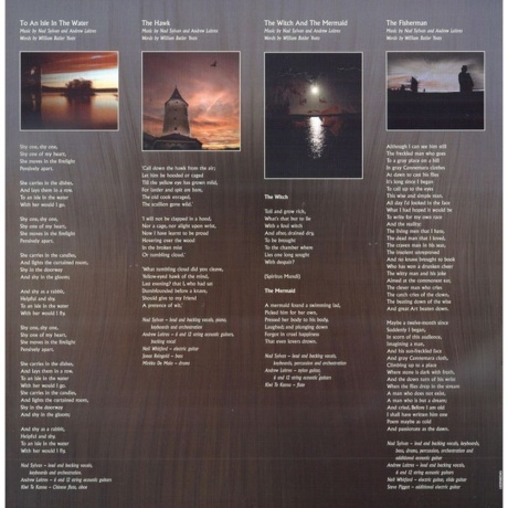 Nad Sylvan - Spiritus Mundi (0194398583013) виниловая пластинка - фото 6