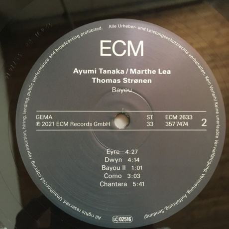 Thomas Stronen &amp; Ayumi Tanaka - Bayou (0602435774749) виниловая пластинка - фото 4