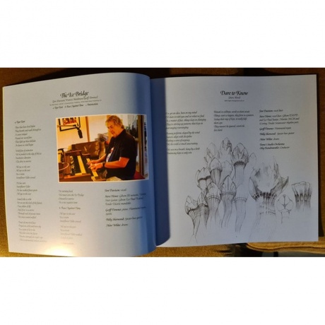 Yes - The Quest (Box) (coloured) (0194398788111) виниловая пластинка - фото 19