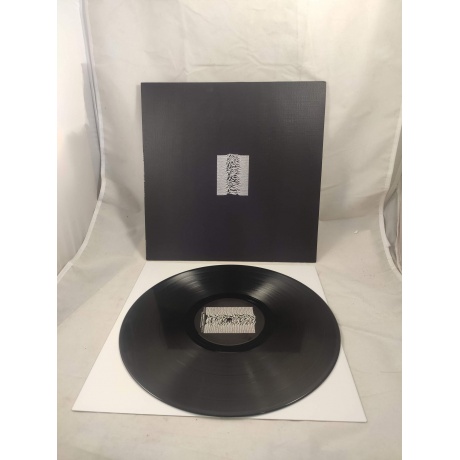Виниловая пластинка Joy Division, Unknown Pleasures (Remastered) (0825646183906) уцененный (гарантия 14 дней) - фото 2
