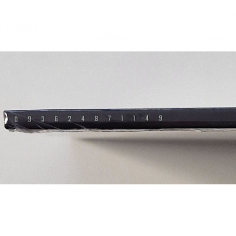 Disturbed - Divisive (0093624871149) виниловая пластинка - фото 10