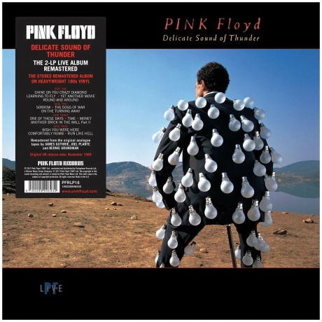Виниловая пластинка Pink Floyd, Delicate Sound Of Thunder (Remastered) (0190295996932) Витринный образец - фото 1
