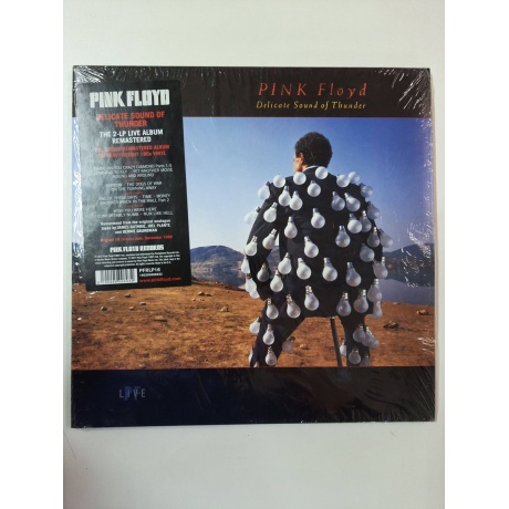 Виниловая пластинка Pink Floyd, Delicate Sound Of Thunder (Remastered) (0190295996932) Витринный образец - фото 2