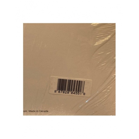 Виниловая Пластинка Arctic Monkeys The Car (0887828045518) - фото 7