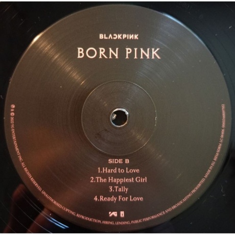 Blackpink - Born Pink (coloured) (0602448480095) виниловая пластинка - фото 9