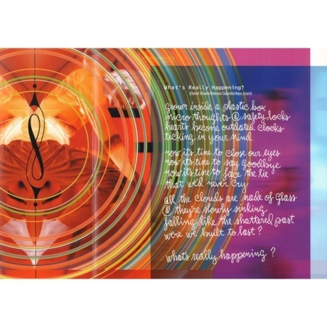 David Bowie - Hours (0190295253318) виниловая пластинка - фото 14