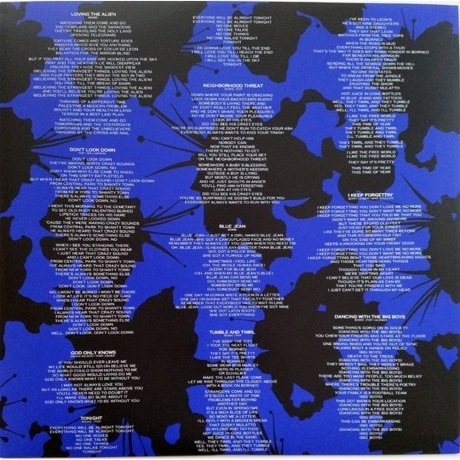 David Bowie - Tonight (0190295692094) виниловая пластинка - фото 5