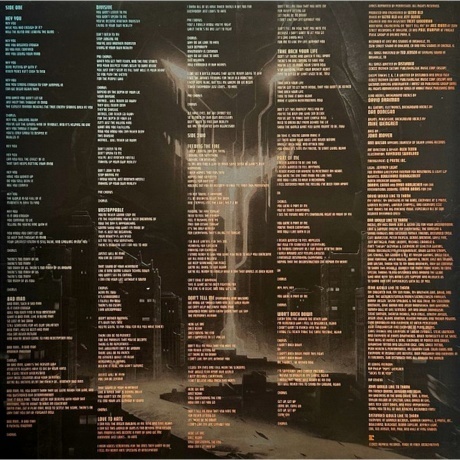 Disturbed - Divisive (coloured) (0093624868033) виниловая пластинка - фото 7