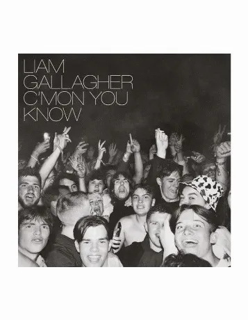 Gallagher, Liam C’Mon You Know (0190296423932) виниловая пластин...