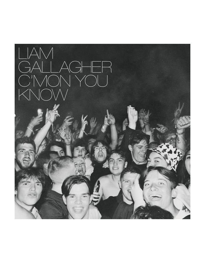 Виниловая Пластинка Gallagher, Liam C'Mon You Know (0190296396878)