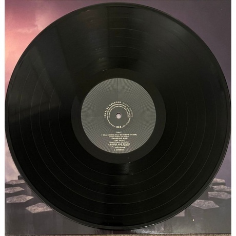 Imagine Dragons - Night Visions (0602445923090) виниловая пластинка - фото 8