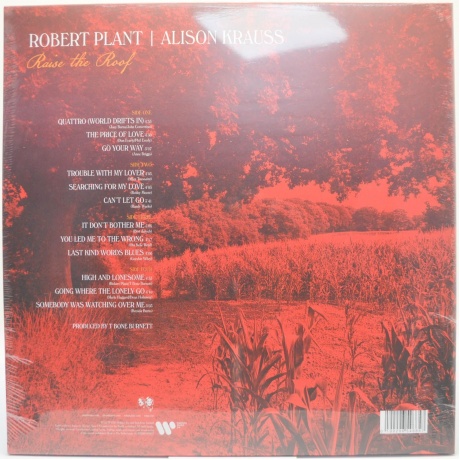 Robert Plant &amp; Alison Krauss - Raise The Roof (coloured) (0190296548857) виниловая пластинка - фото 2