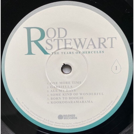 Rod Stewart - The Tears Of Hercules (0603497842537) виниловая пластинка - фото 4