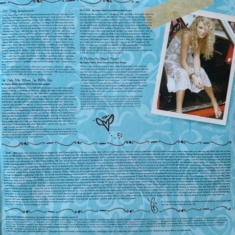 Taylor Swift - Taylor Swift (0843930021154) виниловая пластинка - фото 3