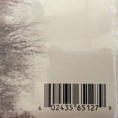 Taylor Swift - Evermore (coloured) (0602435651279) виниловая пластинка - фото 12