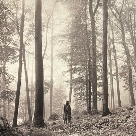 Taylor Swift - Folklore (coloured) (0602435034881) виниловая пла...